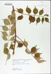 TTRS_000004819-thumbnail.jpg