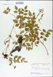 TTRS_000004820-thumbnail.jpg
