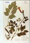 TTRS_000004821-thumbnail.jpg