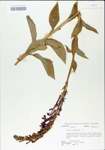 TTRS_000004883-thumbnail.jpg