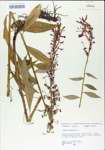 TTRS_000004884-thumbnail.jpg