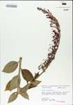 TTRS_000004886-thumbnail.jpg