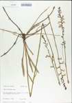TTRS_000004894-thumbnail.jpg
