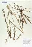 TTRS_000004895-thumbnail.jpg