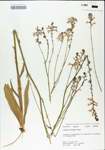 TTRS_000004896-thumbnail.jpg