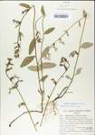 TTRS_000004899-thumbnail.jpg
