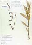 TTRS_000004901-thumbnail.jpg