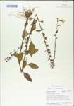 TTRS_000004903-thumbnail.jpg