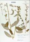 TTRS_000004905-thumbnail.jpg