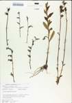 TTRS_000004914-thumbnail.jpg