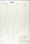 TTRS_000004919-thumbnail.jpg