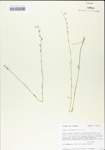 TTRS_000004922-thumbnail.jpg