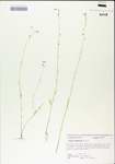 TTRS_000004923-thumbnail.jpg
