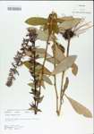 TTRS_000004936-thumbnail.jpg