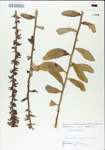 TTRS_000004941-thumbnail.jpg