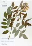 TTRS_000004977-thumbnail.jpg