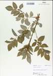 TTRS_000004978-thumbnail.jpg