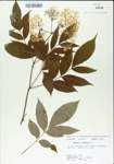 TTRS_000004979-thumbnail.jpg