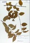 TTRS_000004988-thumbnail.jpg