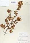 TTRS_000005004-thumbnail.jpg