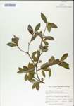 TTRS_000005005-thumbnail.jpg