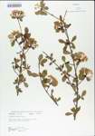 TTRS_000005006-thumbnail.jpg