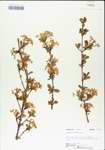 TTRS_000005009-thumbnail.jpg