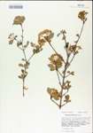 TTRS_000005011-thumbnail.jpg