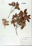 TTRS_000005393-thumbnail.jpg