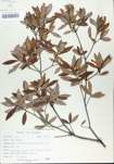 TTRS_000005395-thumbnail.jpg