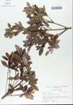 TTRS_000005396-thumbnail.jpg