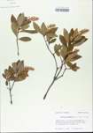 TTRS_000005399-thumbnail.jpg