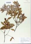 TTRS_000005400-thumbnail.jpg