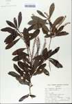 TTRS_000005402-thumbnail.jpg