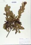 TTRS_000005404-thumbnail.jpg
