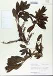 TTRS_000005405-thumbnail.jpg