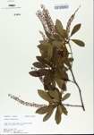 TTRS_000005408-thumbnail.jpg
