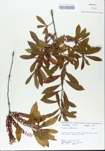 TTRS_000005410-thumbnail.jpg
