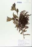 TTRS_000005411-thumbnail.jpg