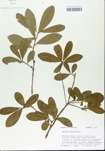 TTRS_000005412-thumbnail.jpg