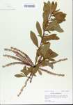 TTRS_000005413-thumbnail.jpg