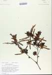TTRS_000005414-thumbnail.jpg