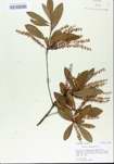 TTRS_000005416-thumbnail.jpg