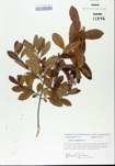 TTRS_000005417-thumbnail.jpg