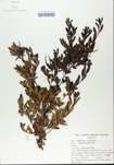 TTRS_000005418-thumbnail.jpg