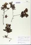 TTRS_000005419-thumbnail.jpg