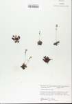 TTRS_000005421-thumbnail.jpg