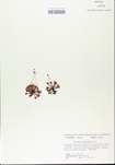 TTRS_000005424-thumbnail.jpg