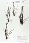 TTRS_000005426-thumbnail.jpg