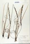 TTRS_000005428-thumbnail.jpg